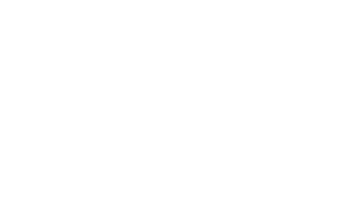 Figueiredo Nemer Sanches